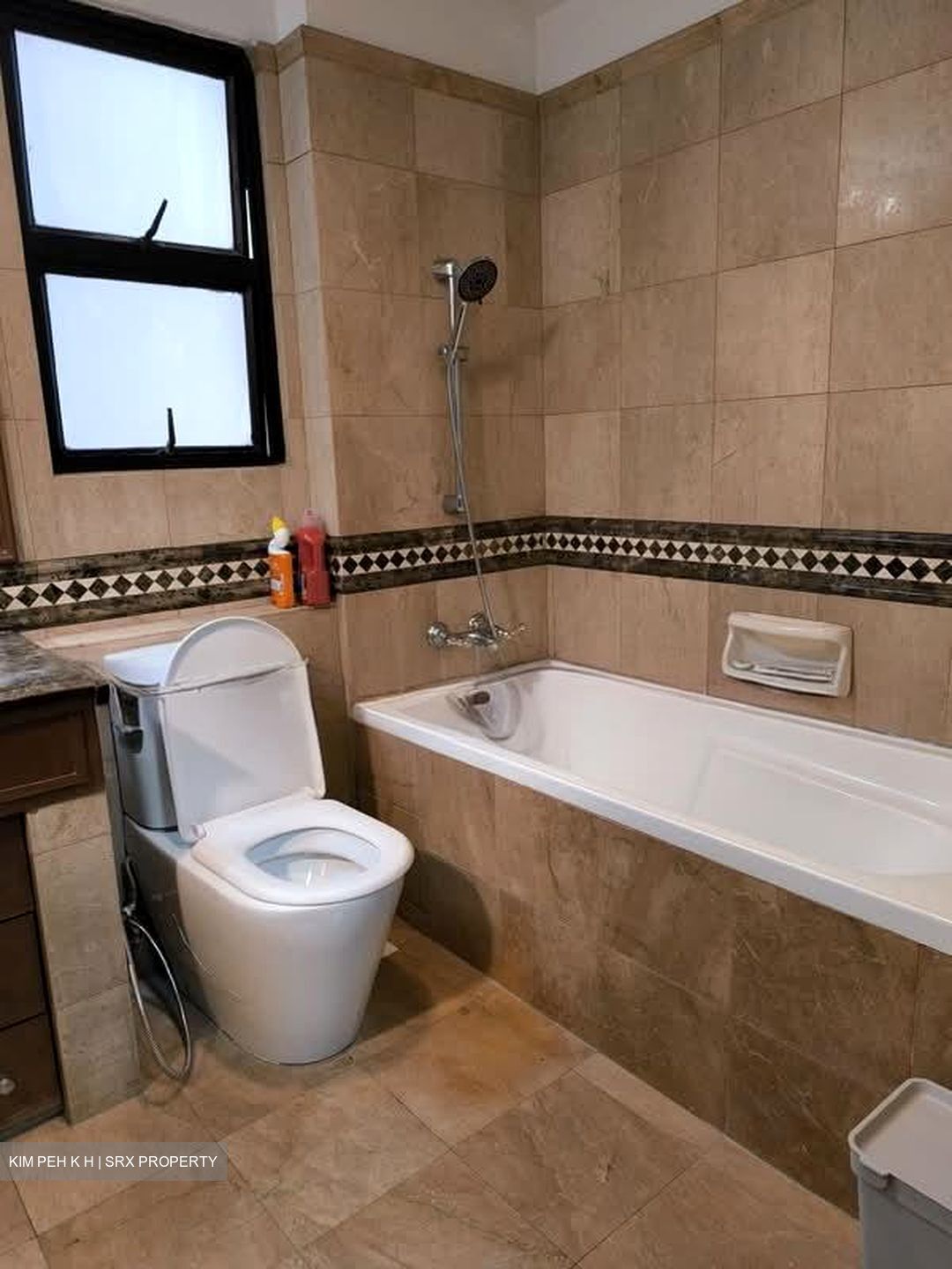 Dover Parkview (D5), Condominium #555015891